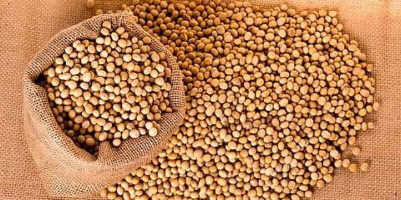 D.T Agro Services Limited