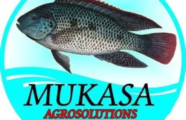 Mukasa Fish Farm