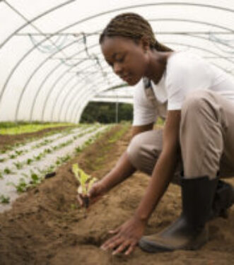 Aquaculture & Fish Farming