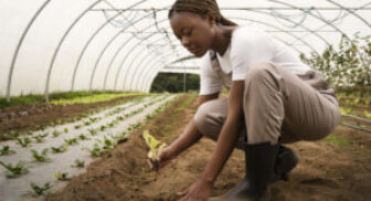 Aquaculture & Fish Farming