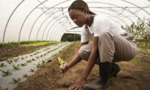 Aquaculture & Fish Farming