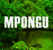 Mpongu