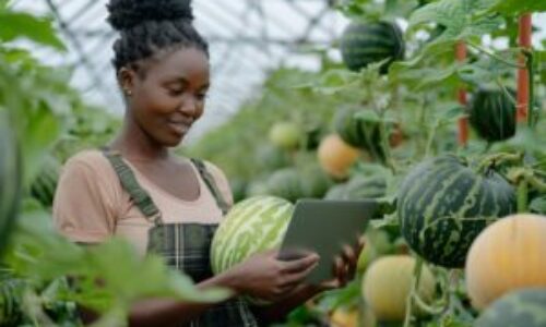 Renewable Energy In Agriculture
