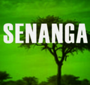 Senanga