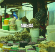Mansa