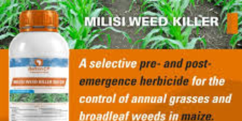 Amiran Zambia, Balton CP
