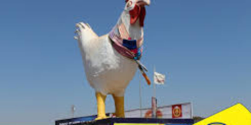 Hybrid Poultry Farm (Z) Limited