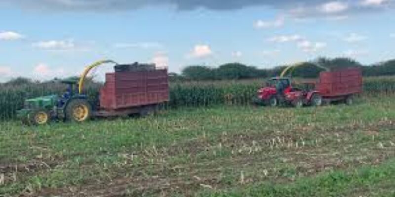 Kushiya Farms Limited