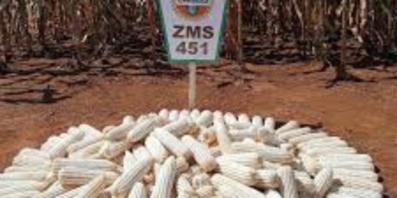 Zambia Seed Company (Zamseed)