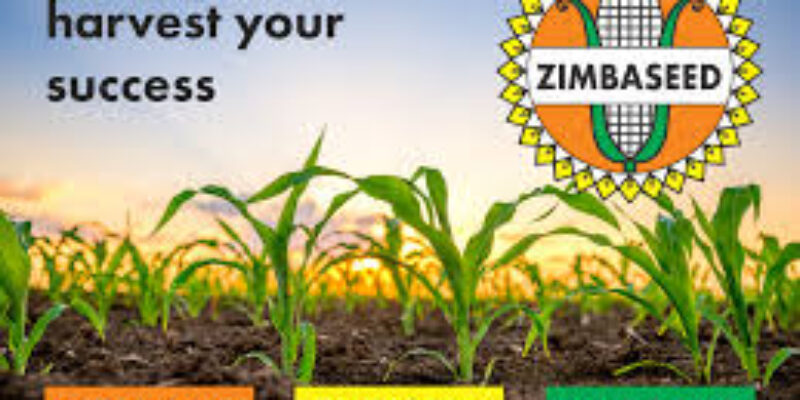 Zambia Seed Company (Zamseed)
